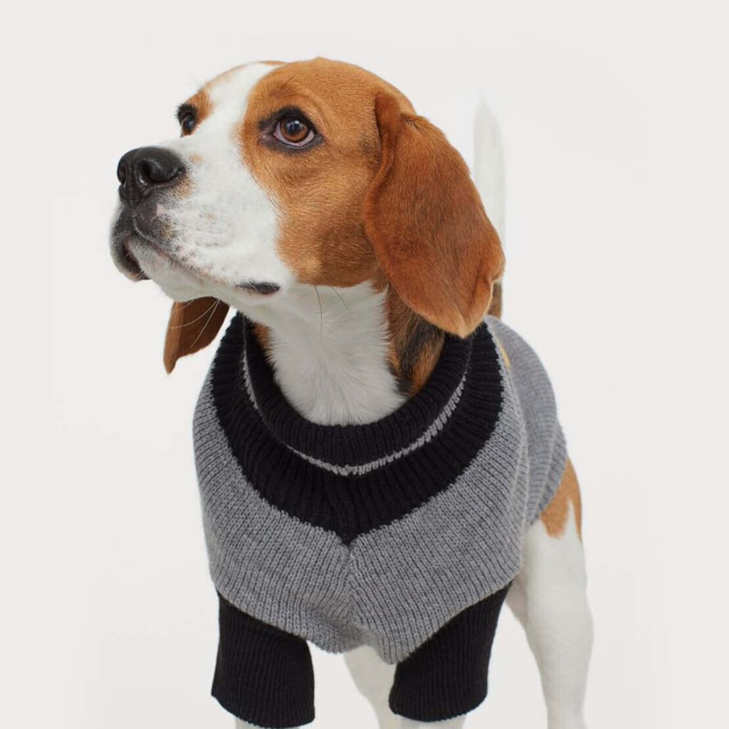 Gray Sweater Doggie Diva's Bed Bark & Beyond